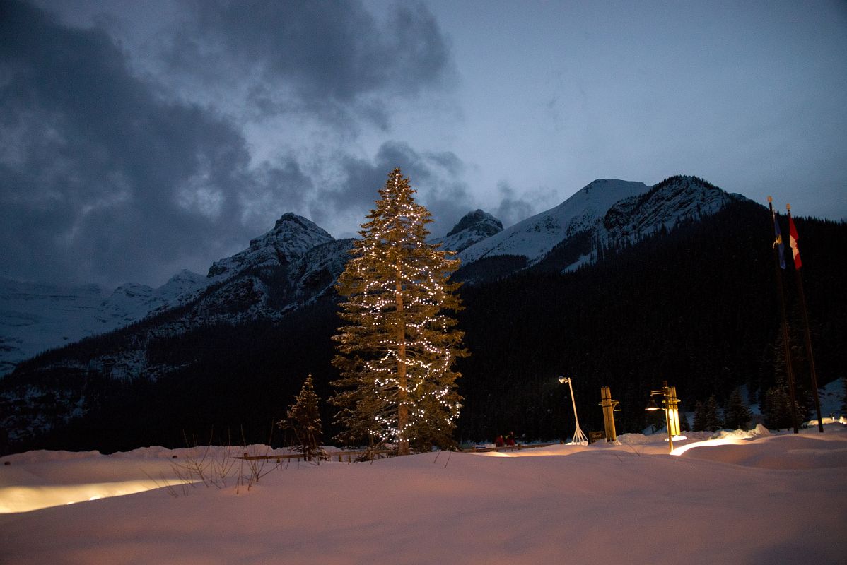 26C Tree With Lights After Sunset At Lake Louise